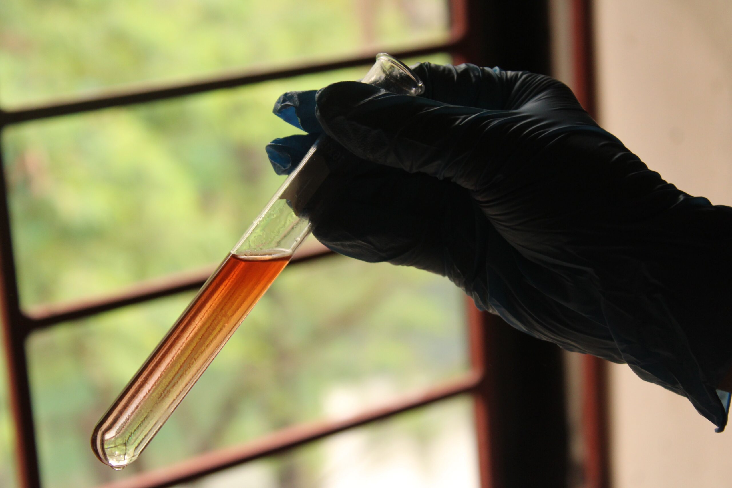Residual solvent testing